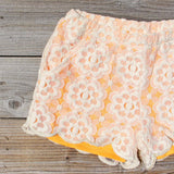 Apricots & Lace Shorts: Alternate View #2