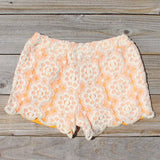 Apricots & Lace Shorts: Alternate View #3
