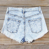 Born Wild Distressed Shorts: Alternate View #3