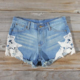 Denim & Lace Shorts: Alternate View #1
